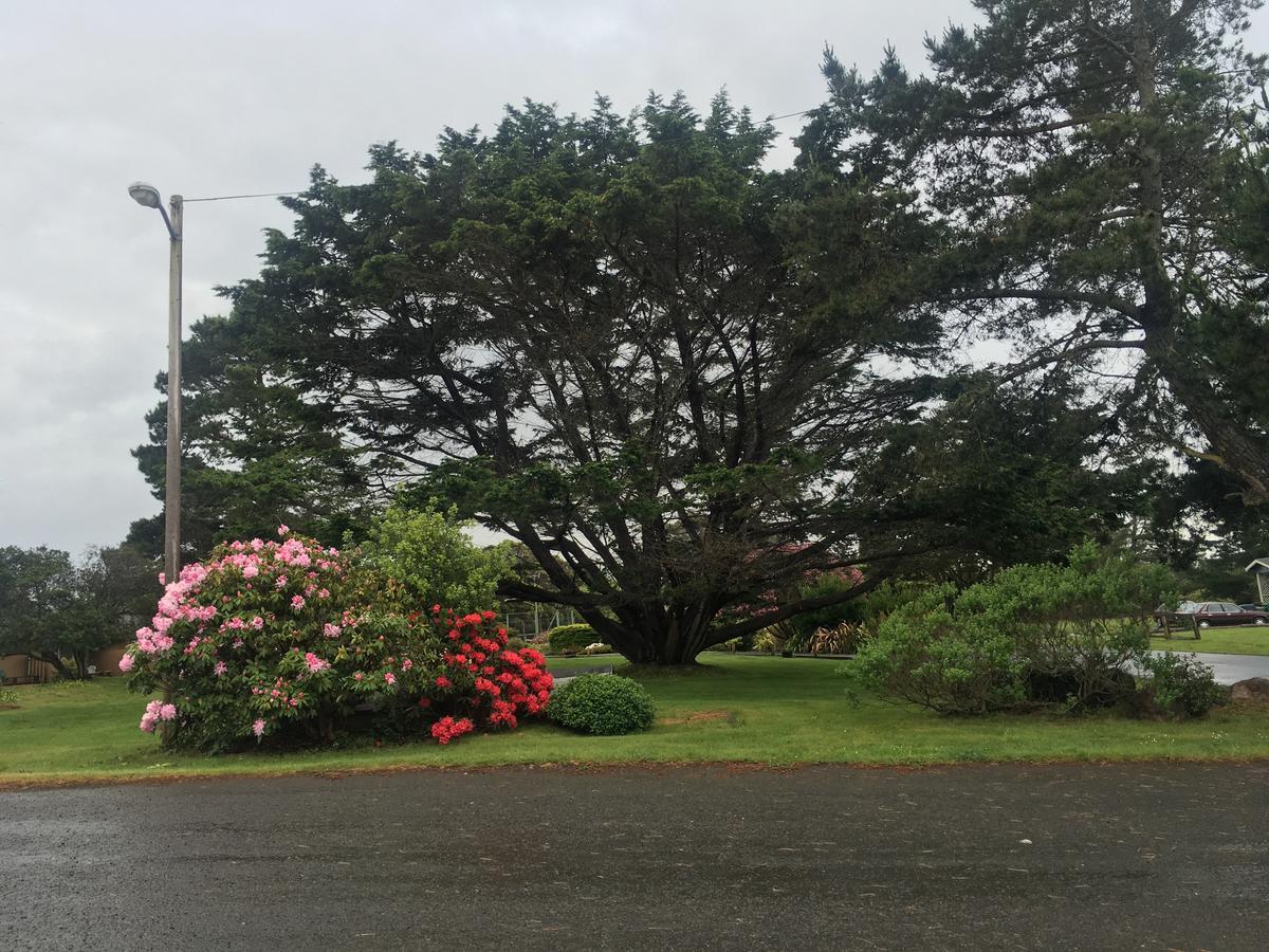 Pine Beach Inn Fort Bragg Exterior foto